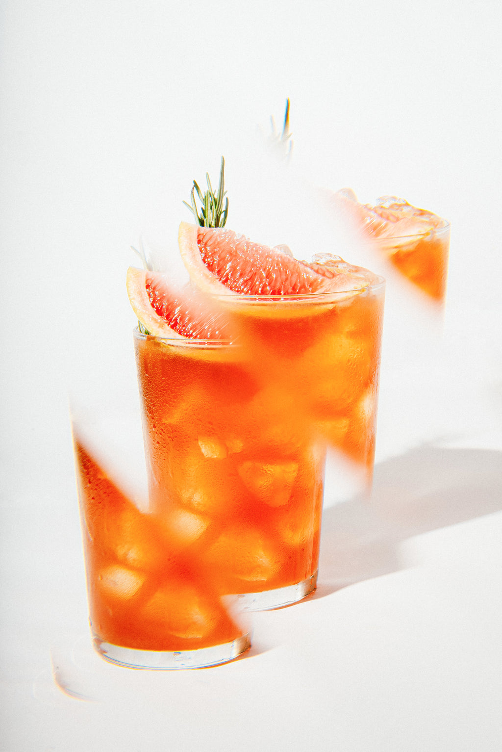 PALOMA
